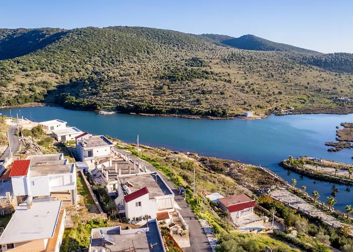 Agim Doko 卡萨米尔